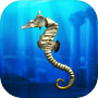 Seahorse simulation gameicon