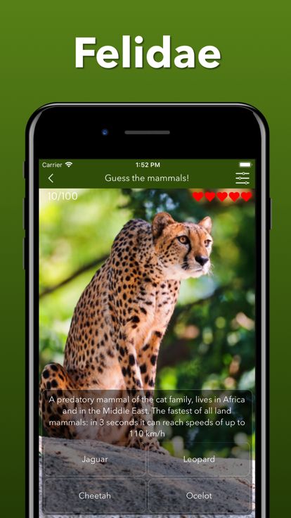 动物园之星 - 动物派对 - 动物模拟器 - 可爱游戏游戏截图