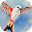 WINGSPAN (展翅翱翔)