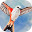 WINGSPAN (展翅翱翔)icon