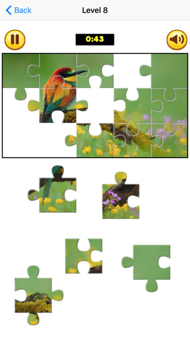 Puzzle Collection Pro: Animals游戏截图