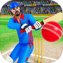 Real World Cricket League 2024icon