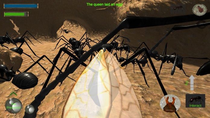 Ant Simulation Full游戏截图