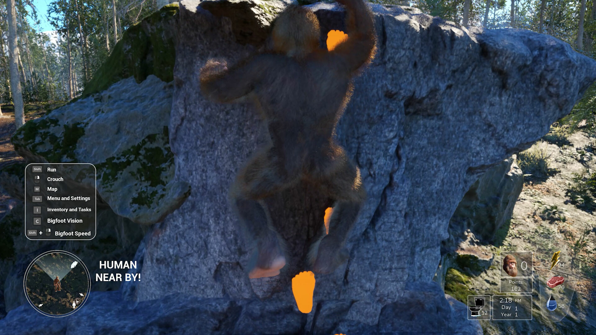 Bigfoot Life游戏截图