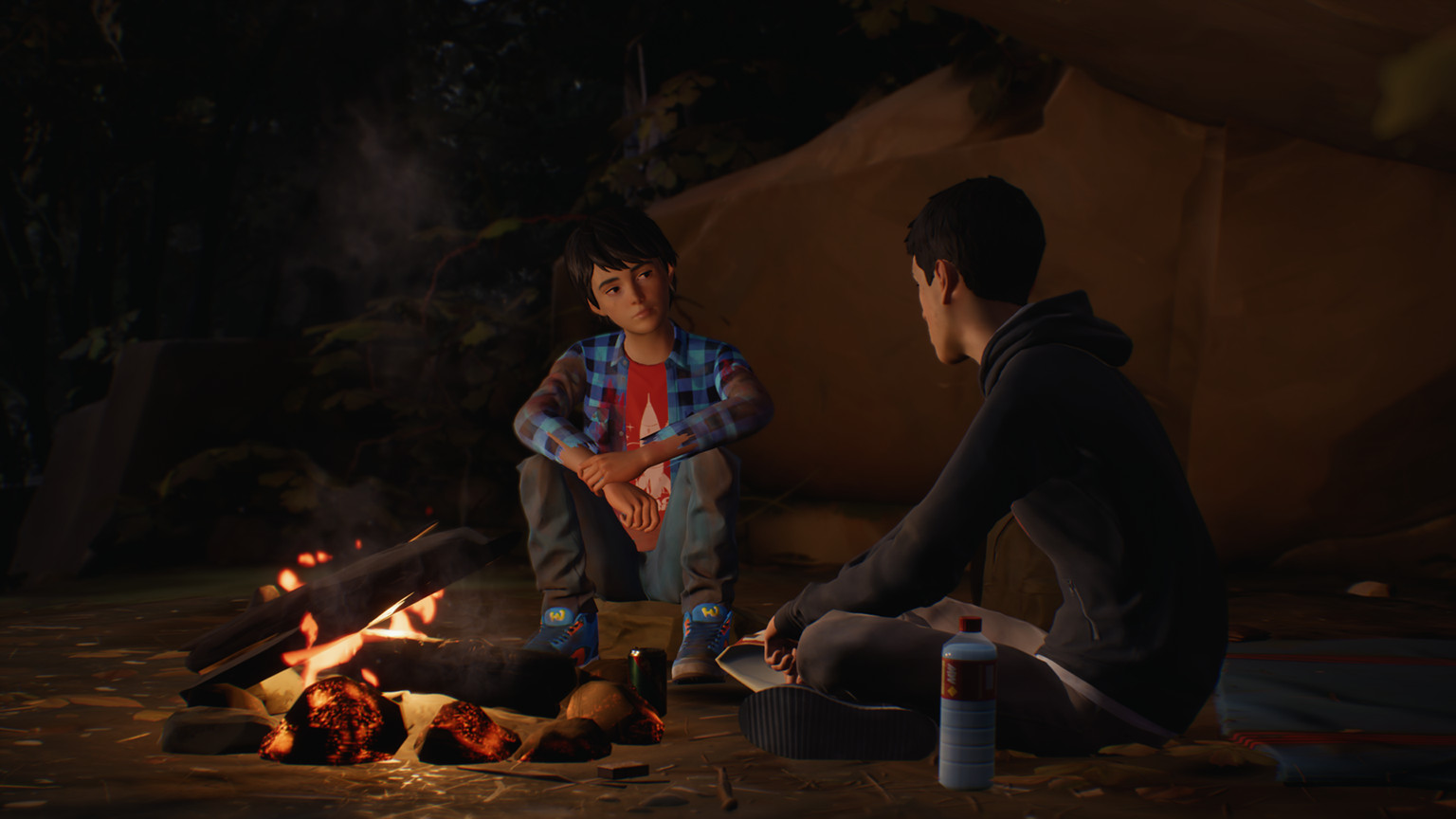 Life is Strange 2游戏截图