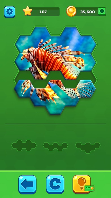 Hexa Jigsaw Puzzle ®游戏截图
