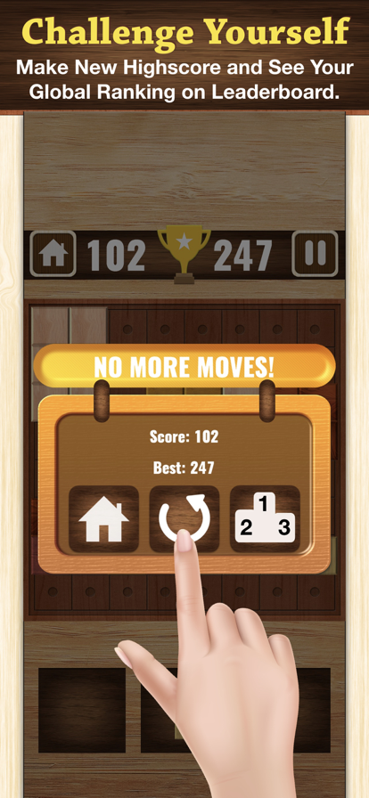 木块拼图 (Wooden Block Puzzle)游戏截图