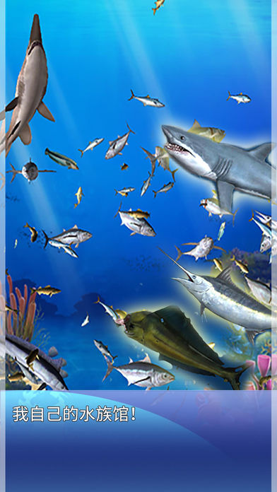 垂钓法则:Season2游戏截图