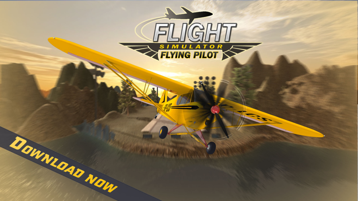 Flight Simulator: Flying Pilot游戏截图