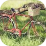 3D模拟自行车越野icon