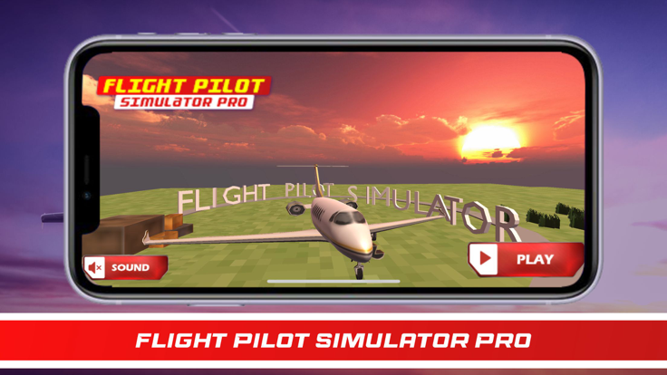 Flight Pilot Simulator Pro游戏截图