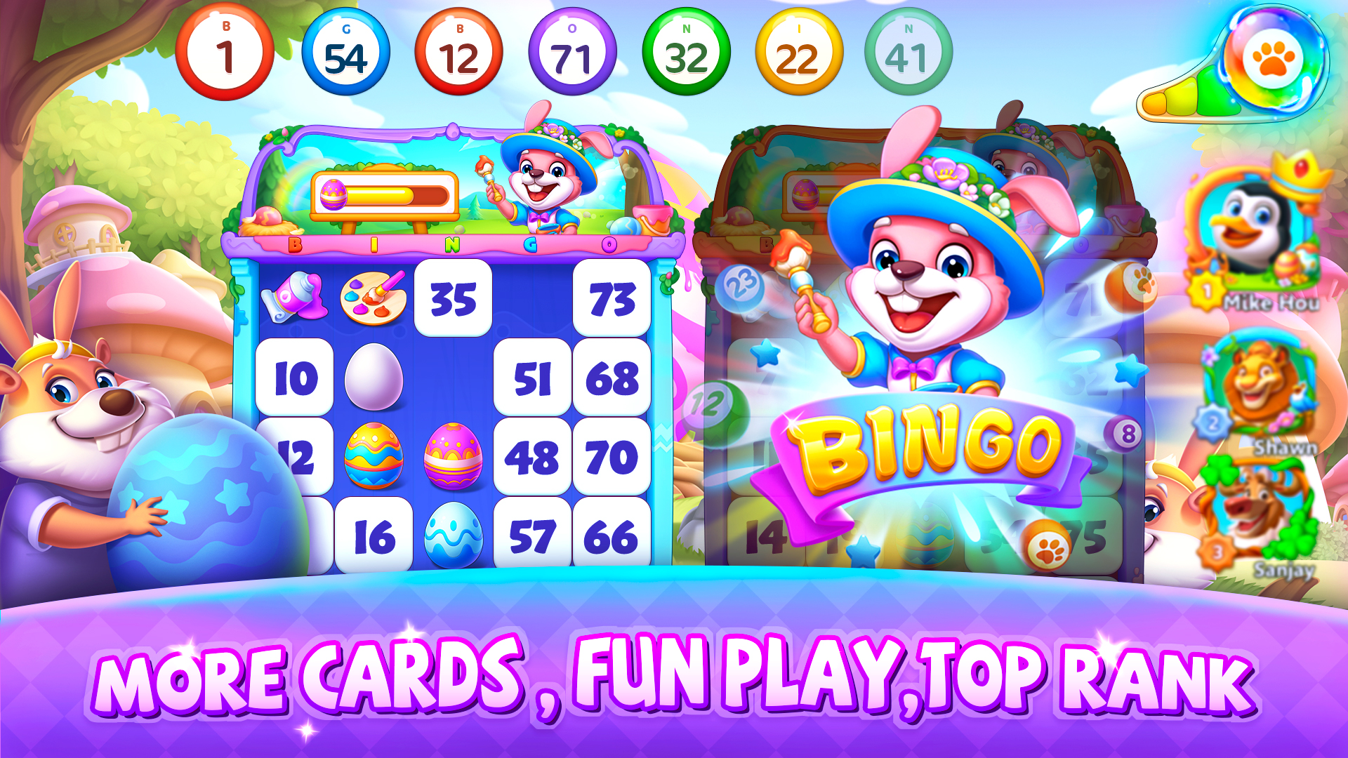 Bingo Wild - Animal BINGO Game游戏截图