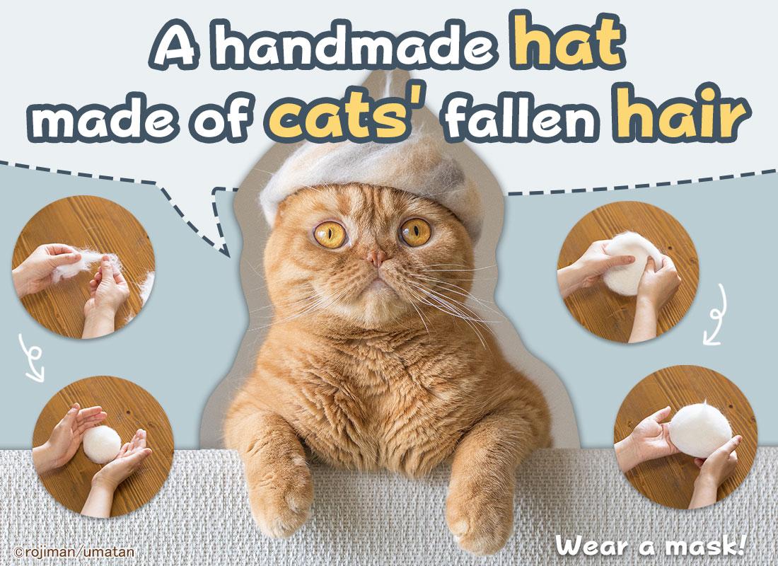 cat hair hats