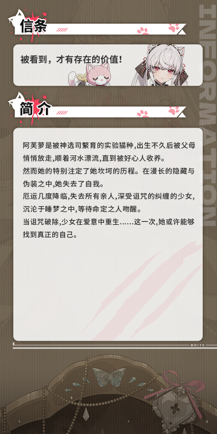 茶杯猫：阿芙萝-掌上淑女