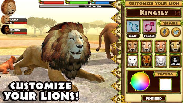 Ultimate Lion Simulator游戏截图
