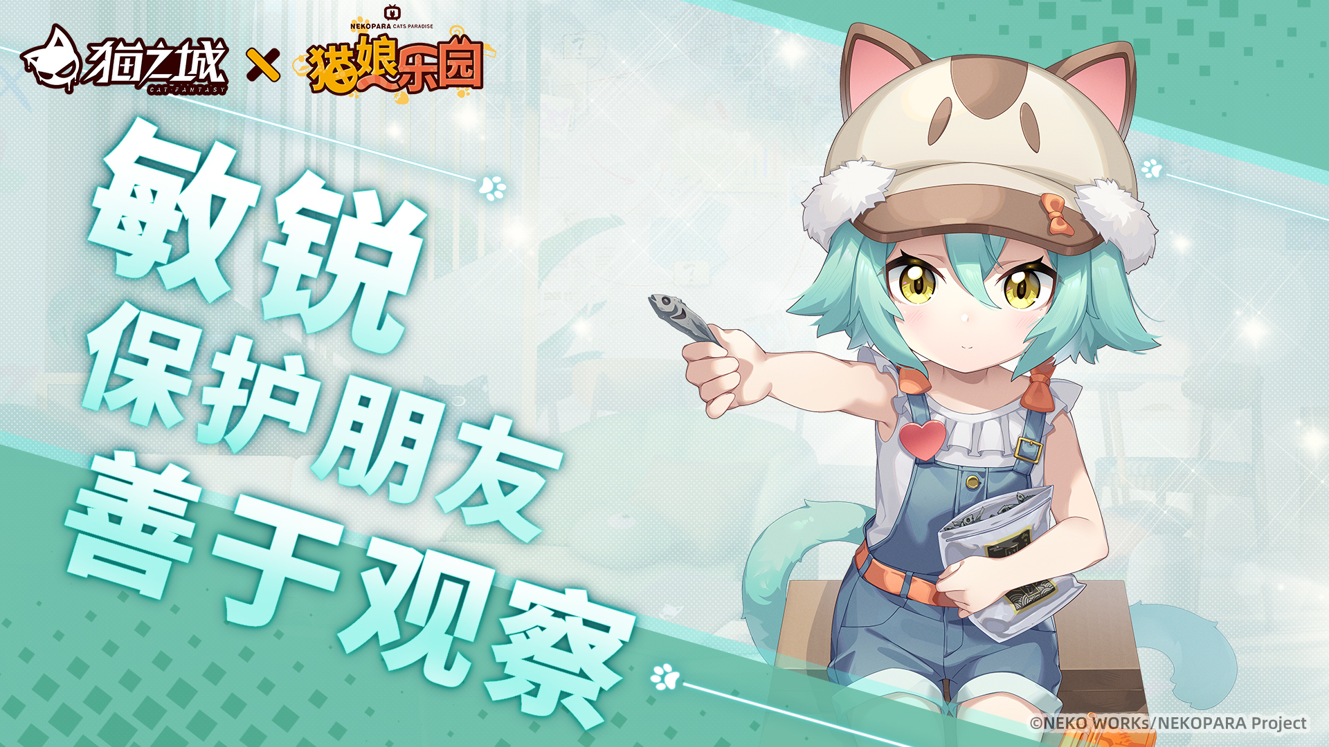 全新SR联动角色可可登场