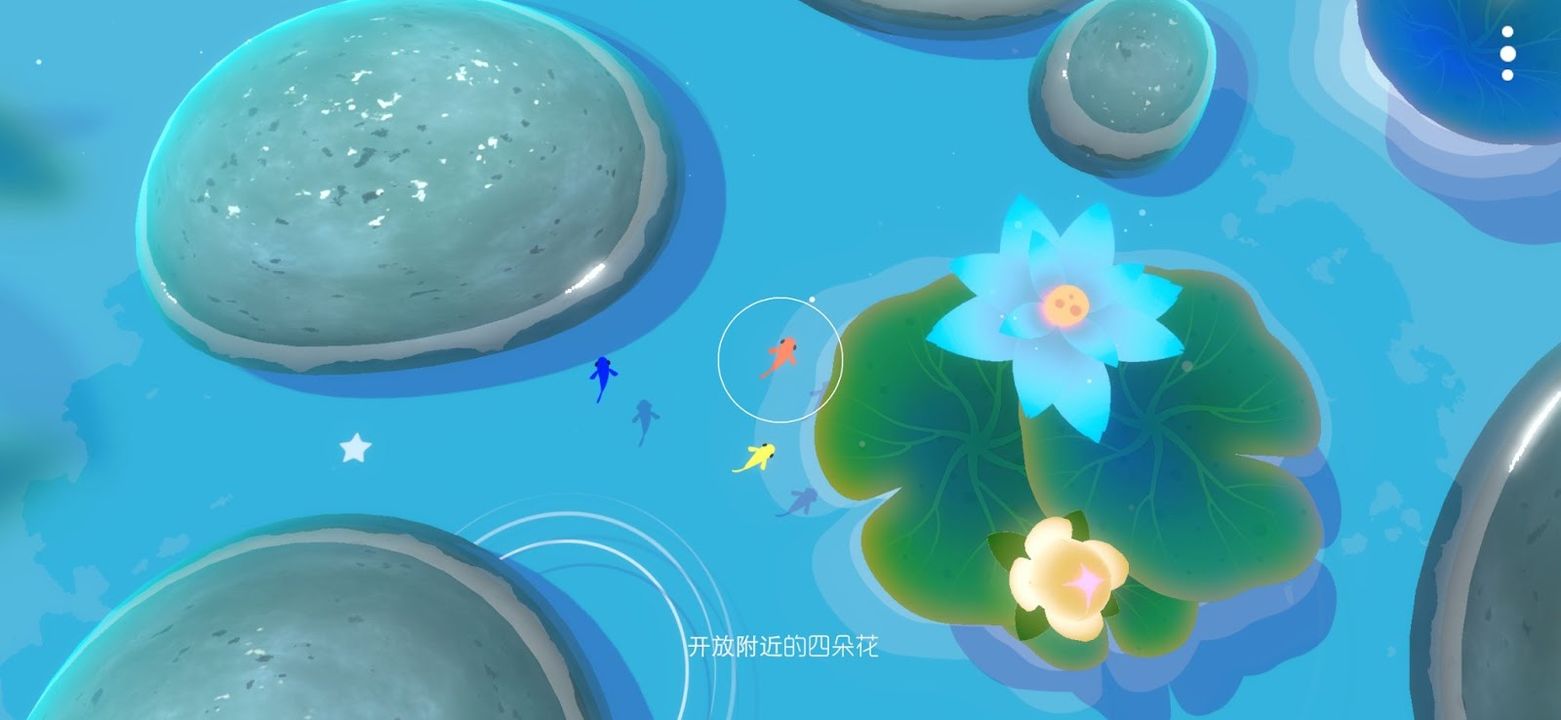 Screenshot of 鲤 重制版