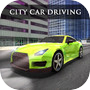 Real City Car Driving Simicon