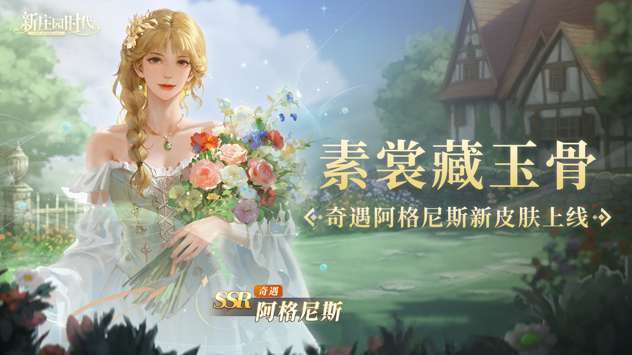 阿格尼斯奇遇SP新皮肤