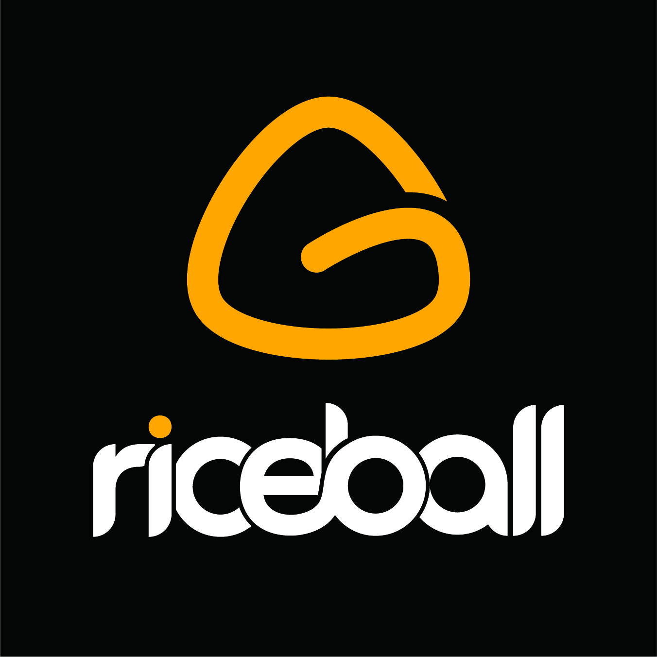 RICE BALL