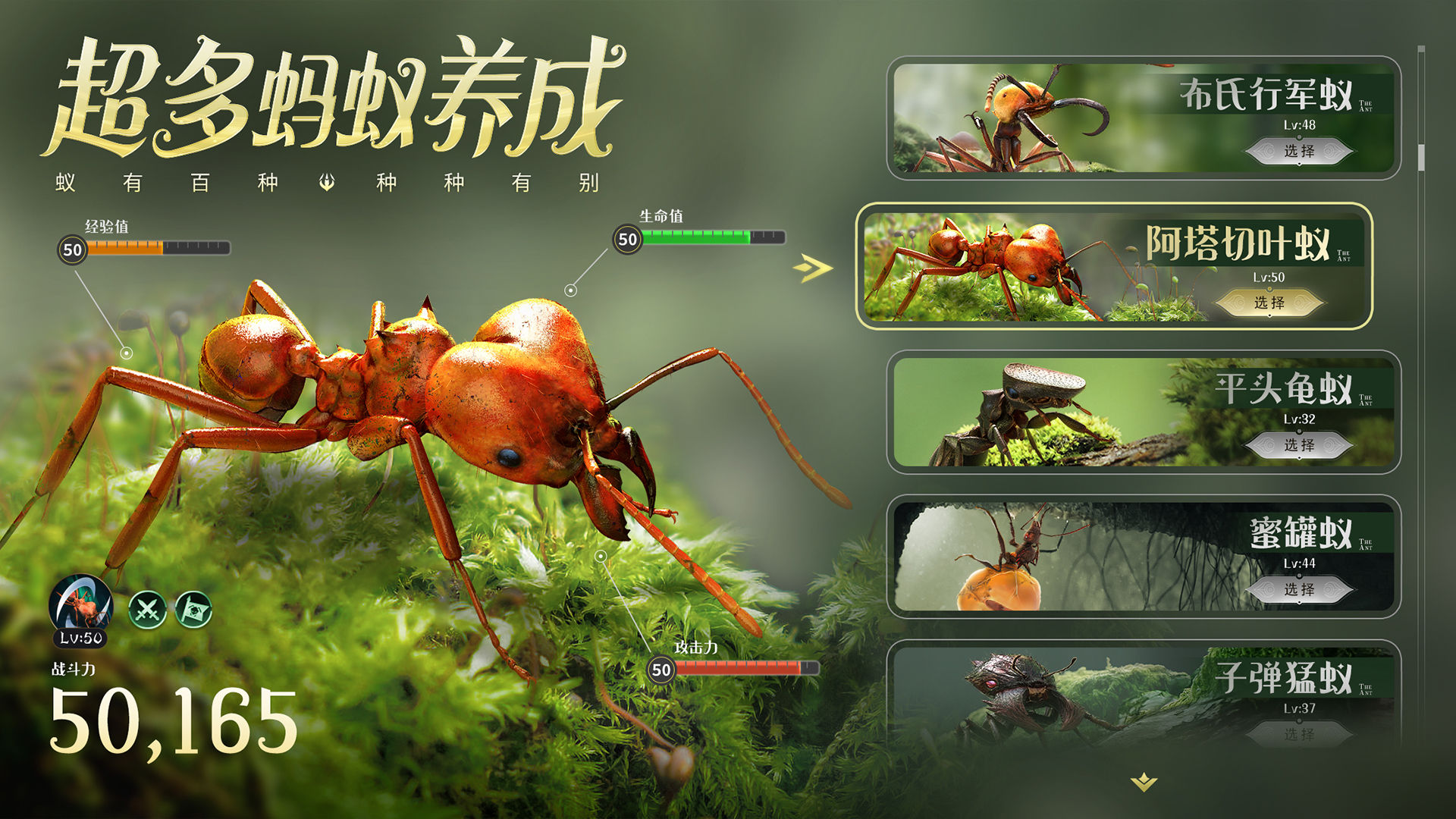 Screenshot of 小小蚁国