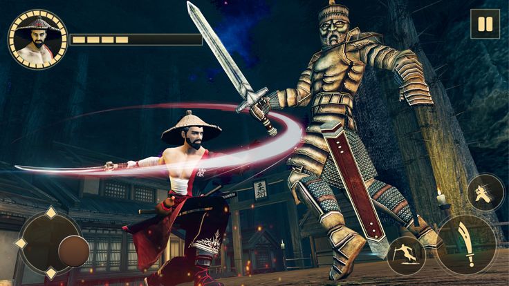 武士 战士 - 忍者 刺客 格斗游戏游戏截图