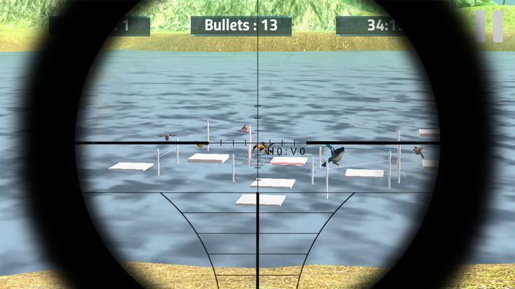 Real Bird Hunting 3D游戏截图