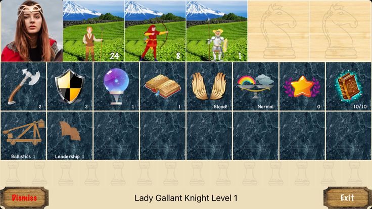 DDHeroes - Dragon Dungeon Hero游戏截图