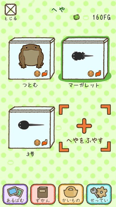 青蛙everyday游戏截图