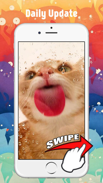 可爱的小猫猫壁纸和背景游戏截图