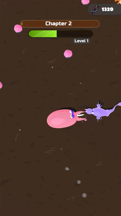 Evolution Race!游戏截图