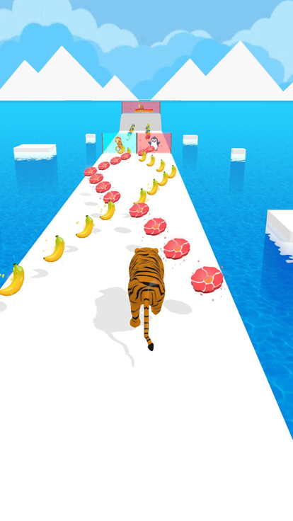 Animal Feed And Run游戏截图