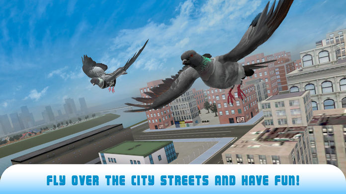 Pigeon Bird Survival Simulator 3D 2 Full游戏截图