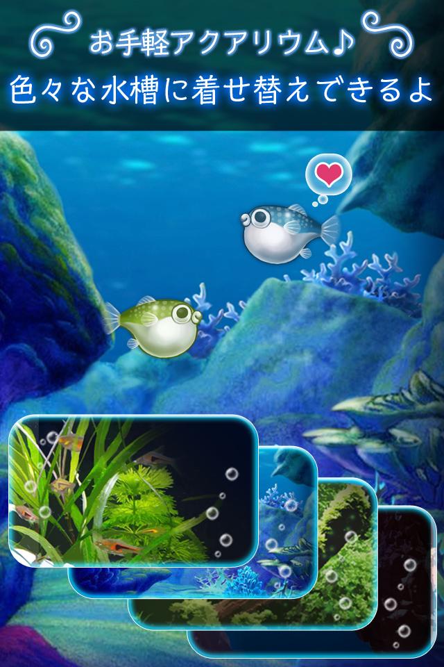 ぼくのフグさん水族館 【無料でかわいい育成ゲーム】游戏截图
