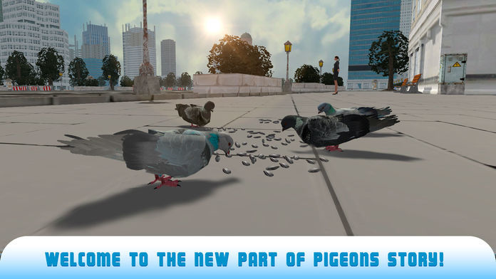 Pigeon Bird Survival Simulator 3D 2 Full游戏截图