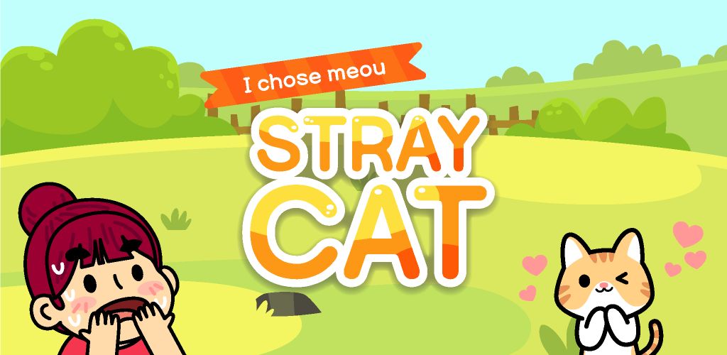 Taming a stray cat