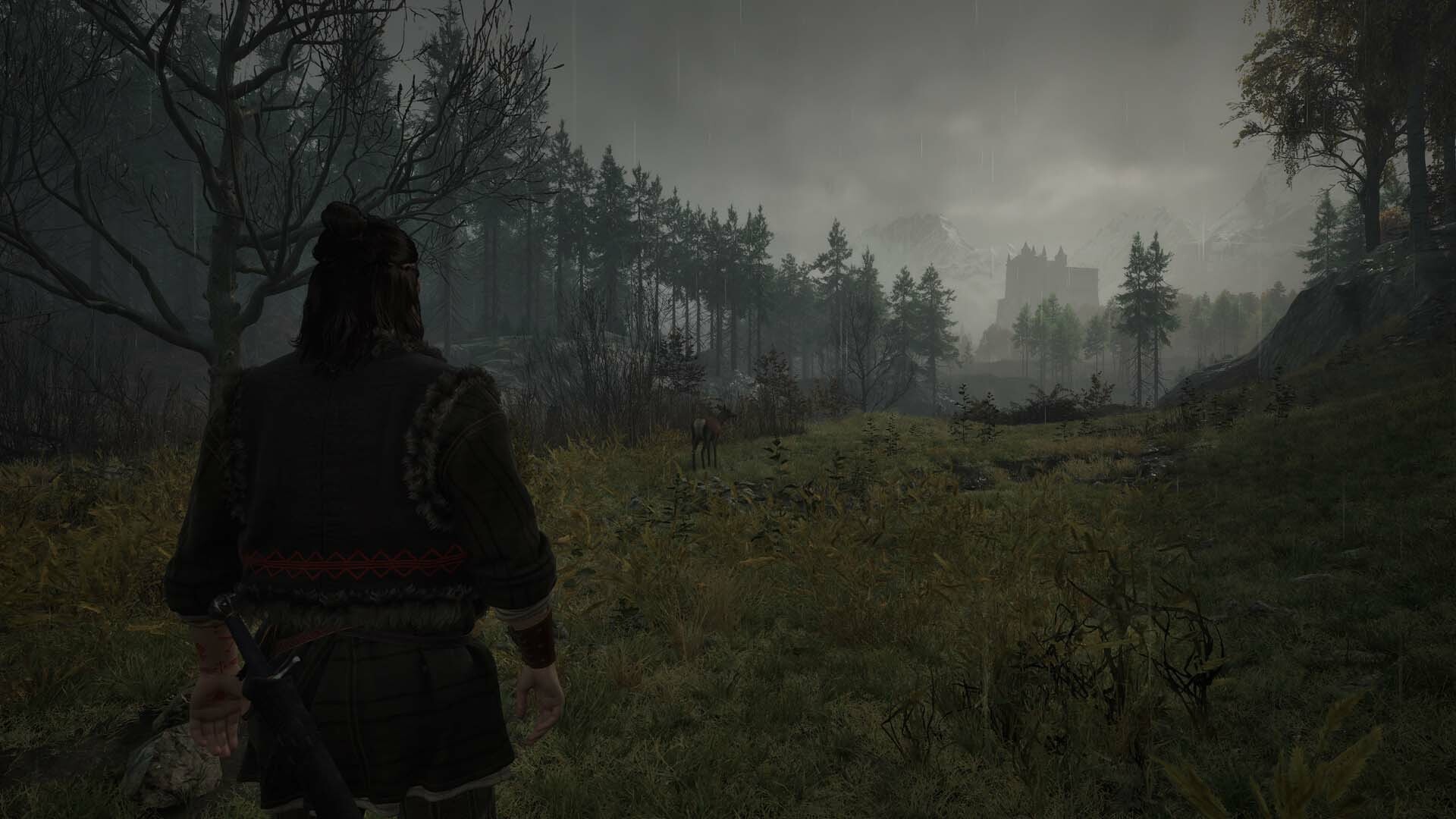 The Blood of Dawnwalker游戏截图