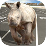 Crazy Wild Animal Racing Gameicon