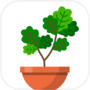植物日记icon