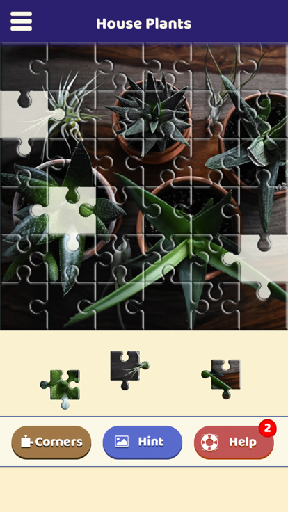 House Plants Puzzle游戏截图