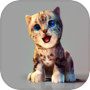 真实小猫3D模拟icon