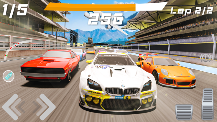 The Racing Crew Ultimate Race游戏截图