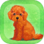 癒しの子犬育成ゲーム〜トイプードル編〜icon