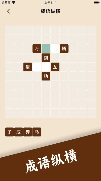 成语接龙 - 疯狂猜成语休闲益智小游戏游戏截图