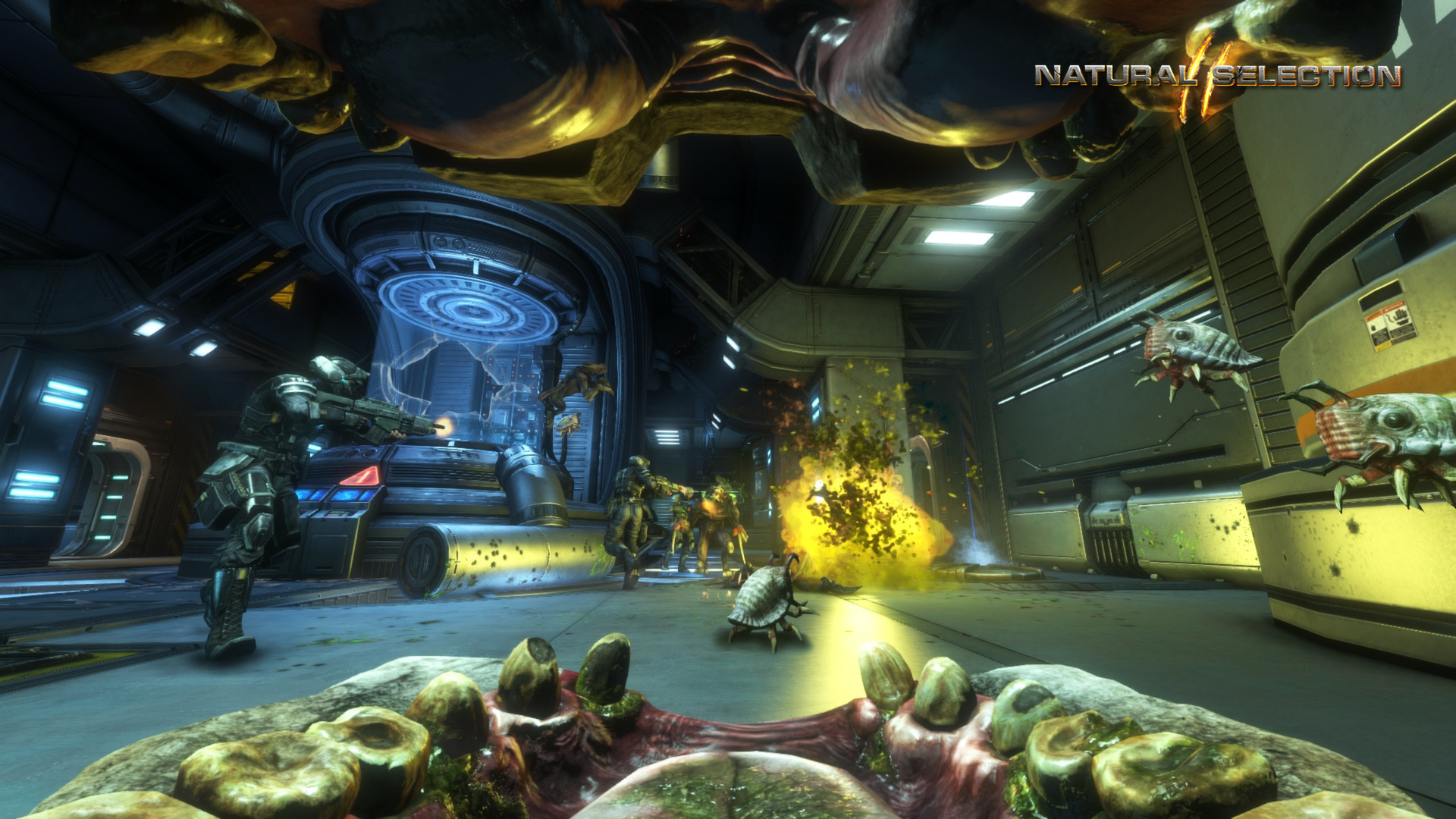 Natural Selection 2游戏截图