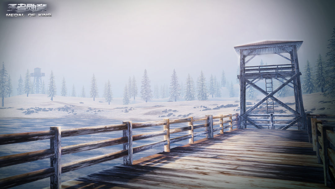 王者勋章游戏截图