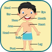 Learning Human Body Parts - Baby Learning Body Parts