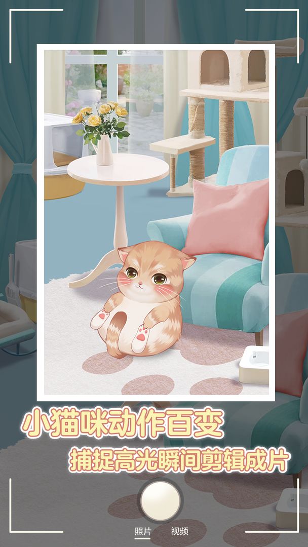 阿橘要出圈游戏截图