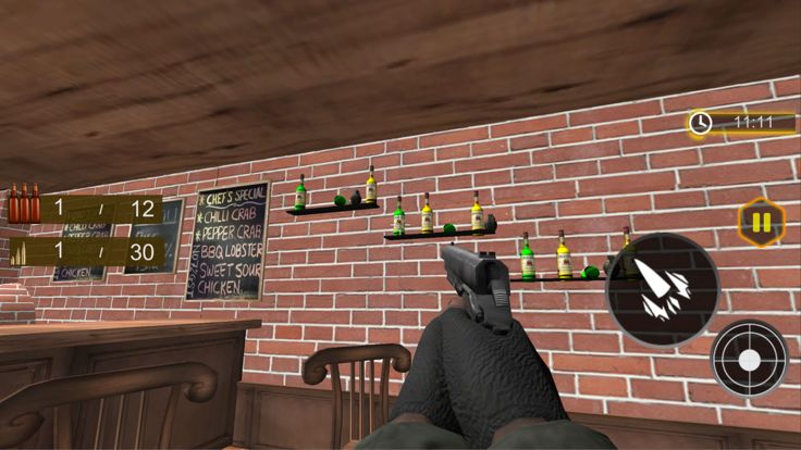 Bottle Expert Shooting 3D游戏截图