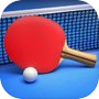 Ping Pong Fury: Table Tennisicon